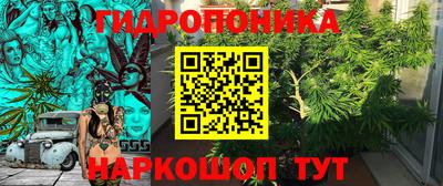 дмт Мирный