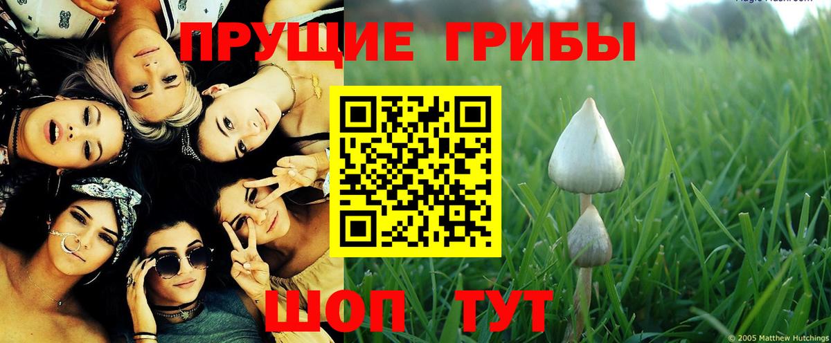 Псилоцибиновые грибы прущие грибы Воскресенск