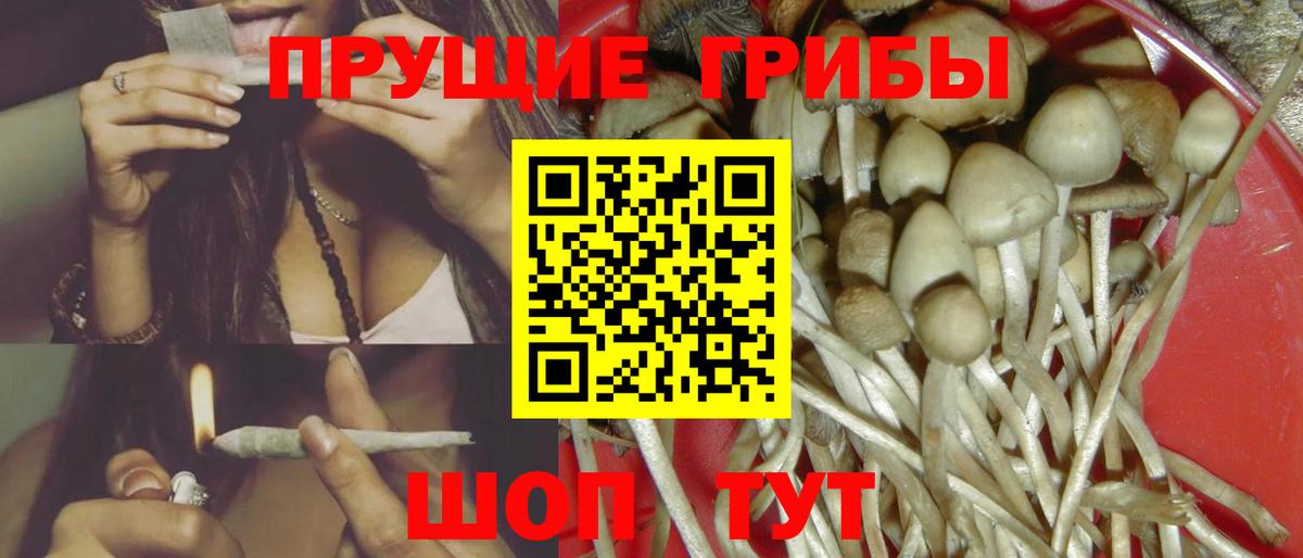 Галлюциногенные грибы ЛСД  Вход с VPN  Воскресенск  Псилоцибиновые грибы мицелий 
